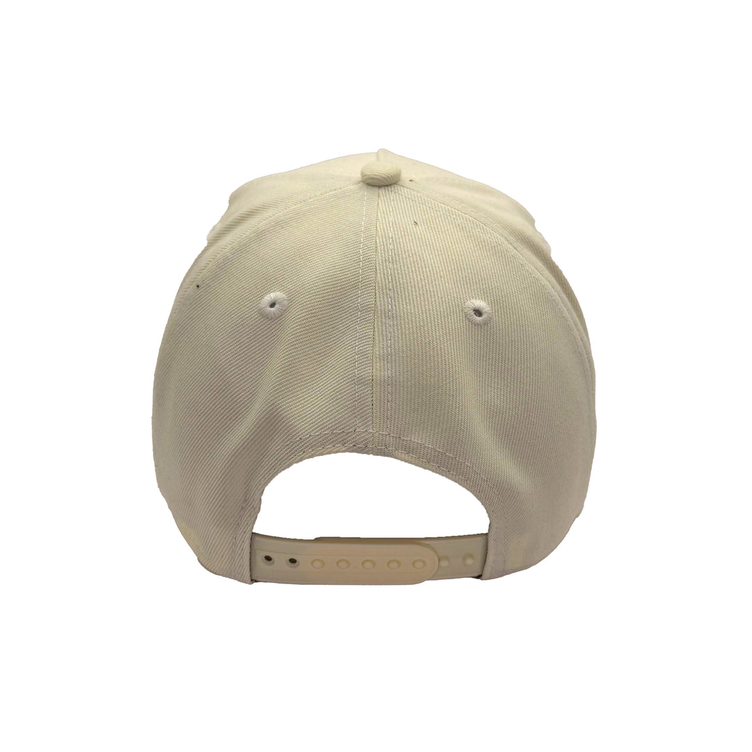 Edmonton Oilers New Era Chrome Turtle Island 9FORTY Snapback Hat