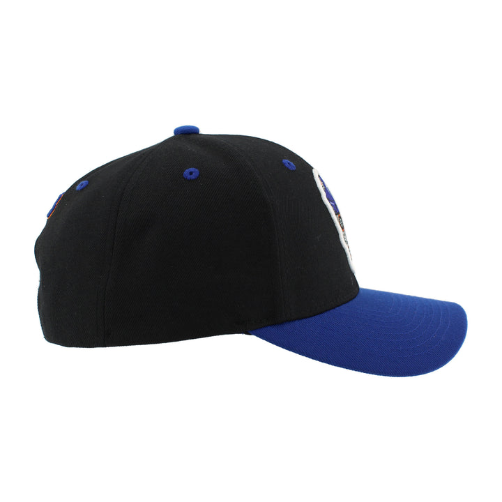 Edmonton Oilers Zephyr 3D Bones Black Snapback Hat