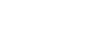 Apparel – ICE District Authentics